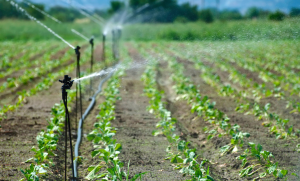 irrigation telaqua